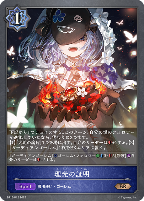 BRプレミアム 理光の証明
