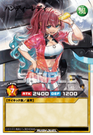 ORR ハンディーレディ